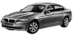 BMW F10 P2529 Fault Code